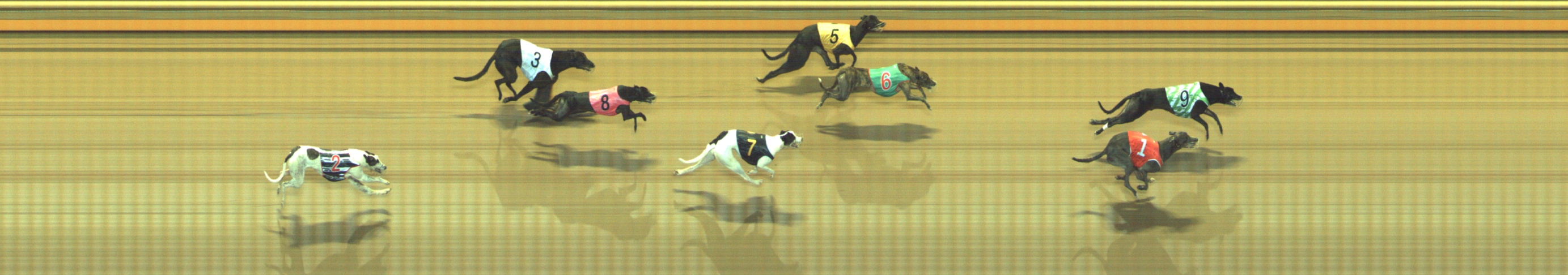 Photo finish for Geelong Race 6