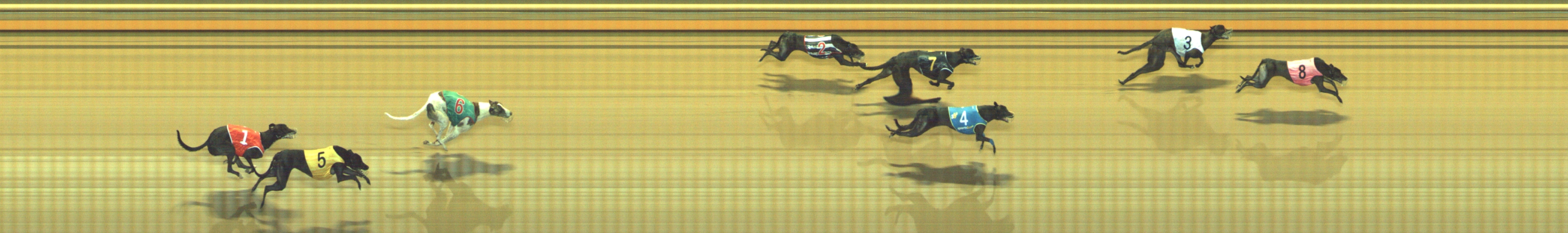 Photo finish for Geelong Race 7
