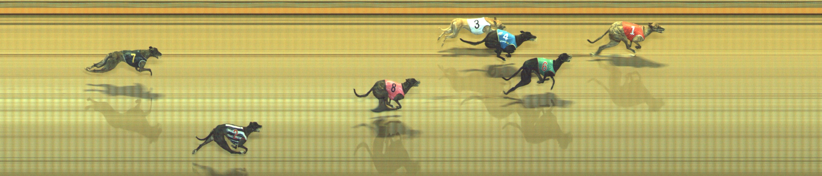 Photo finish for Geelong Race 8
