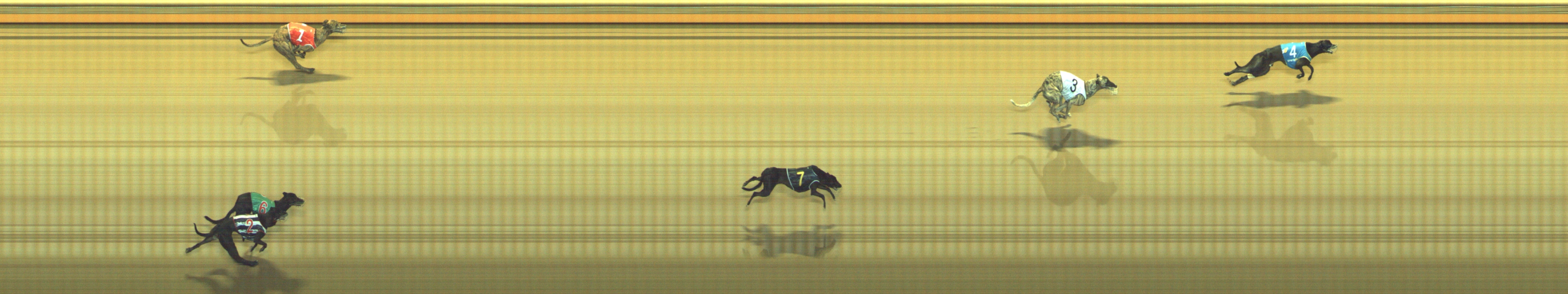 Photo finish for Geelong Race 9