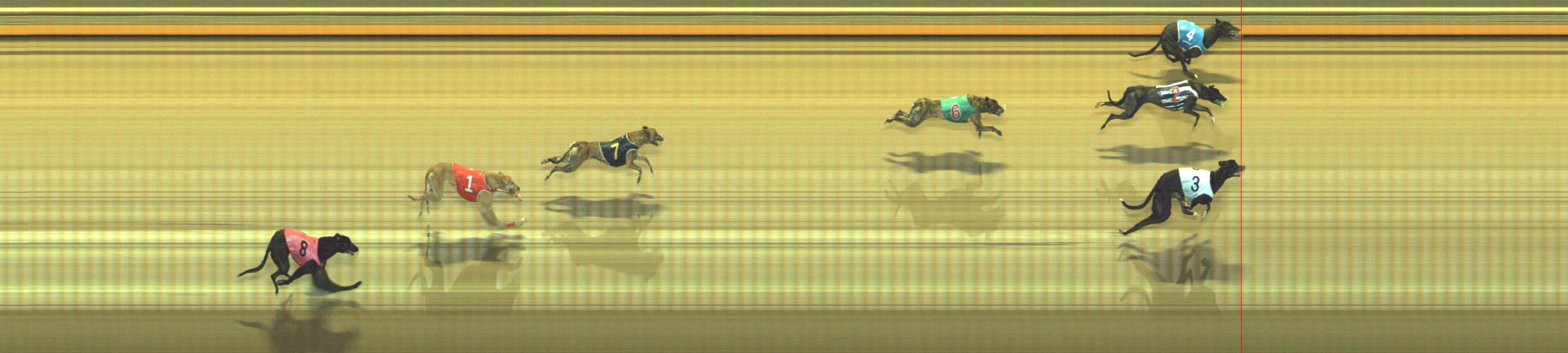 Photo finish for Geelong Race 10