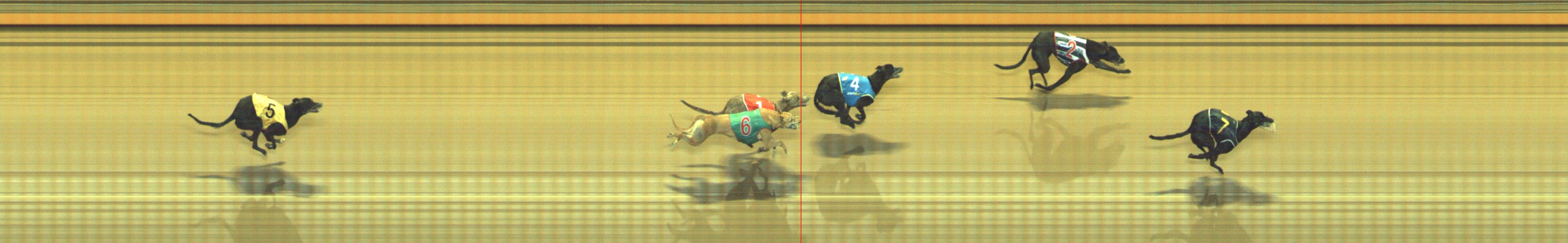 Photo finish for Geelong Race 12