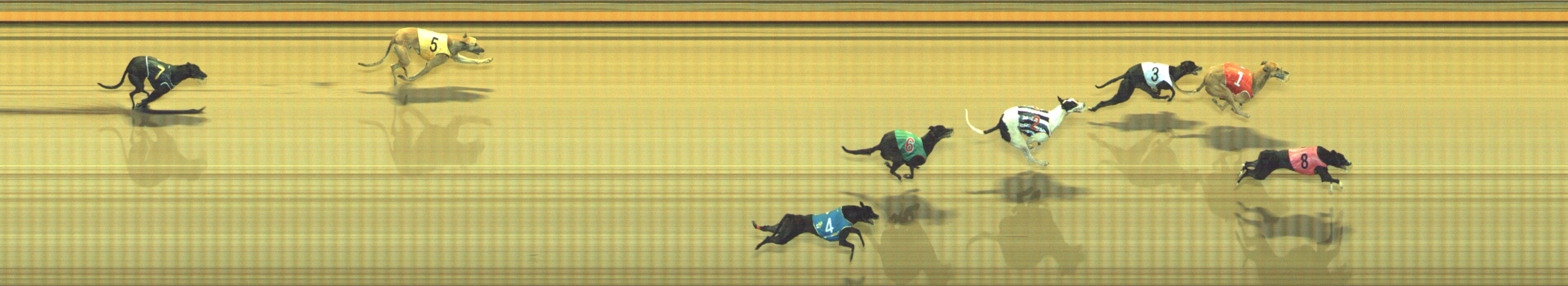 Photo finish for Geelong Race 13
