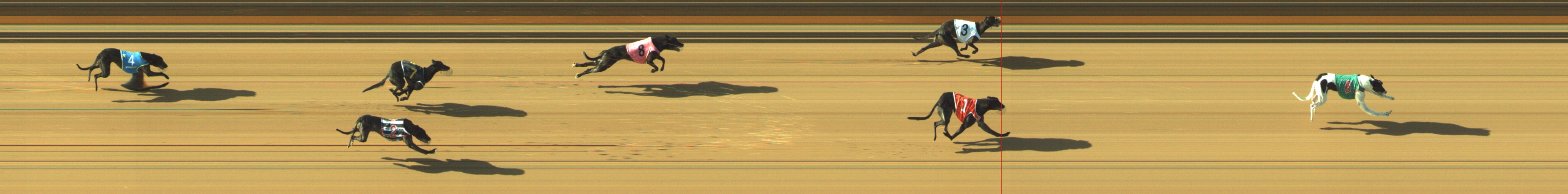 Photo finish for Geelong Race 1