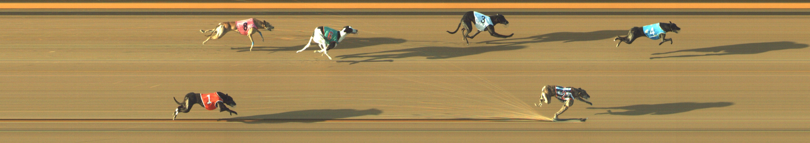 Photo finish for Geelong Race 4