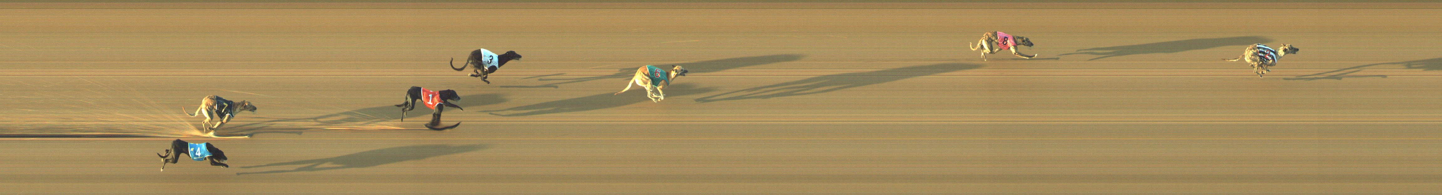 Photo finish for Geelong Race 5