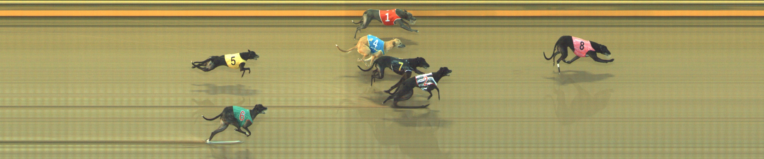 Photo finish for Geelong Race 6