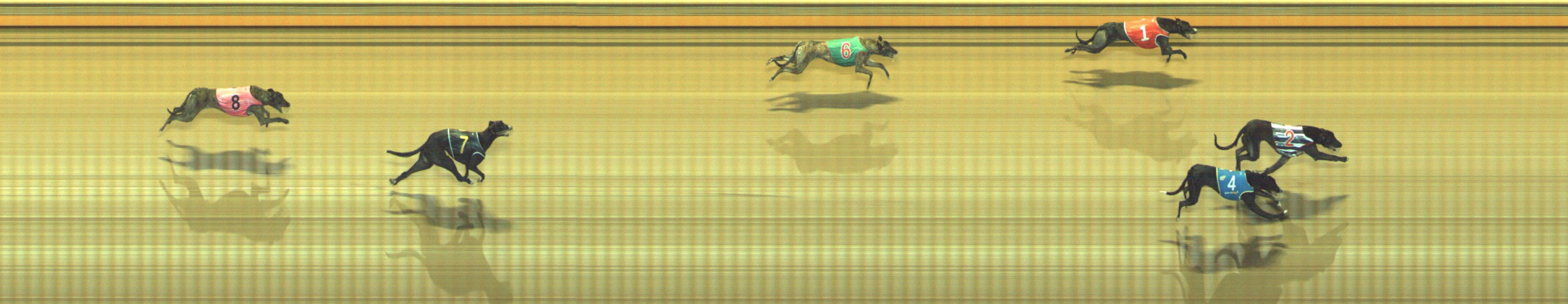 Photo finish for Geelong Race 8