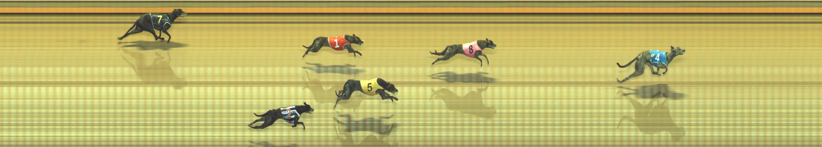 Photo finish for Geelong Race 9