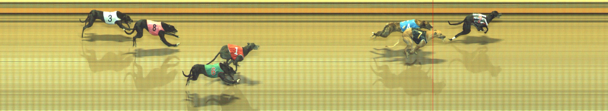Photo finish for Geelong Race 10