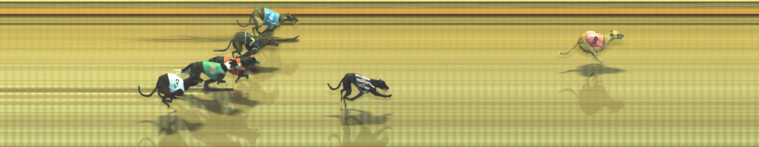 Photo finish for Geelong Race 11