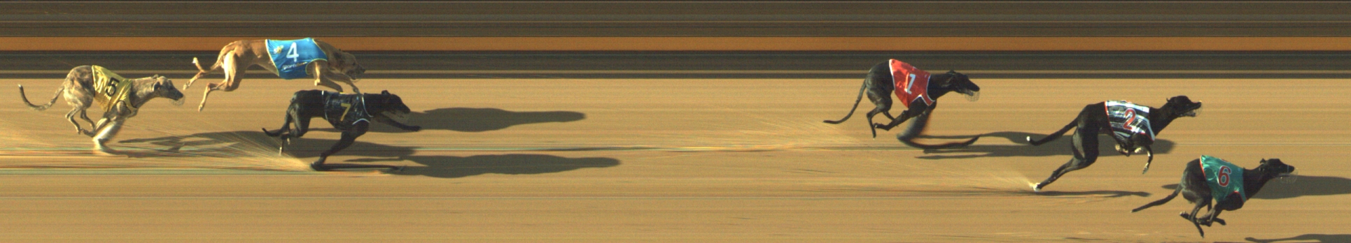 Photo finish for Geelong Race 1