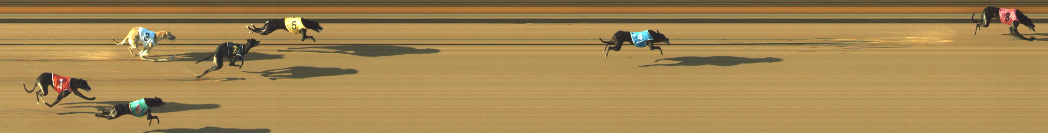 Photo finish for Geelong Race 2