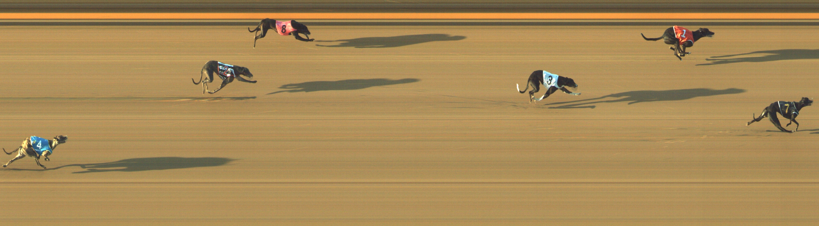 Photo finish for Geelong Race 3