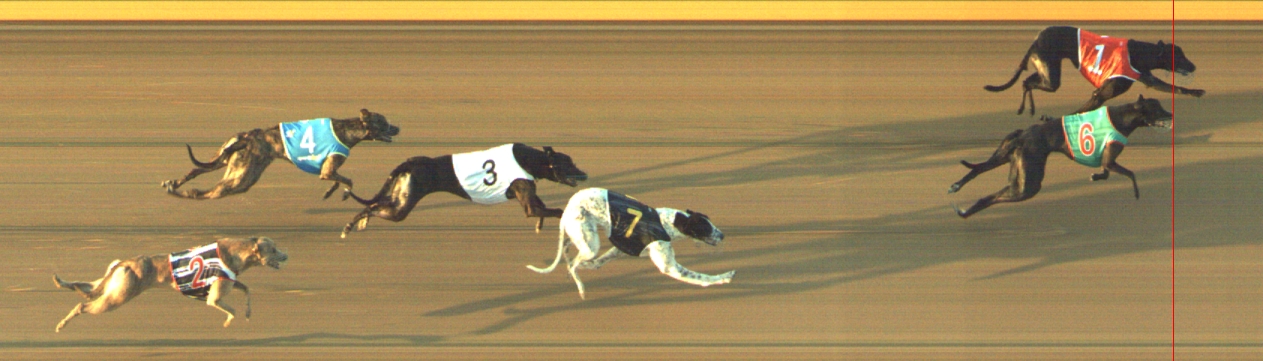 Photo finish for Geelong Race 4