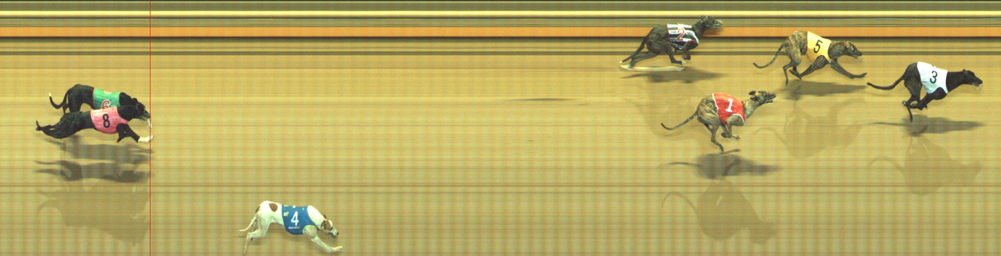 Photo finish for Geelong Race 6