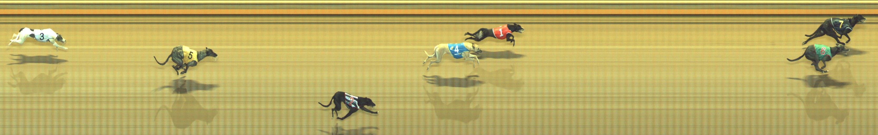 Photo finish for Geelong Race 7
