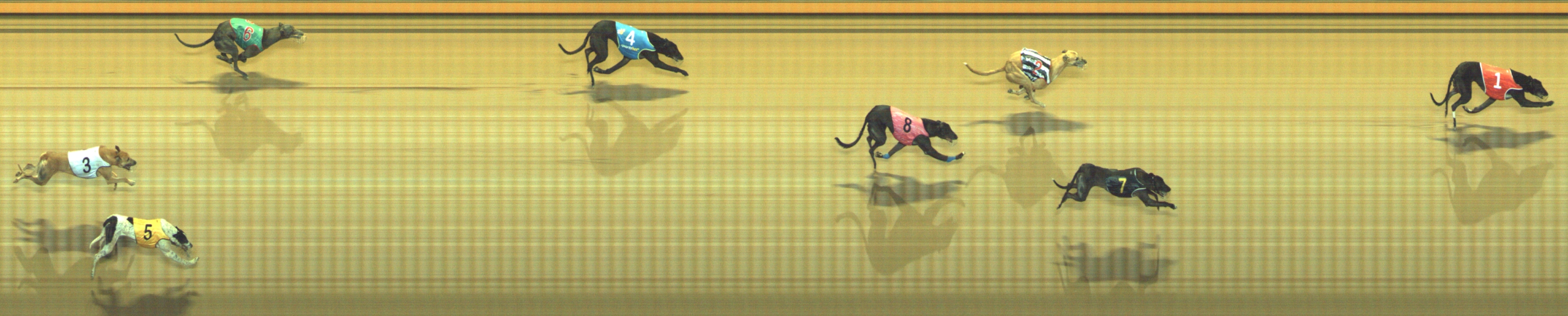 Photo finish for Geelong Race 8