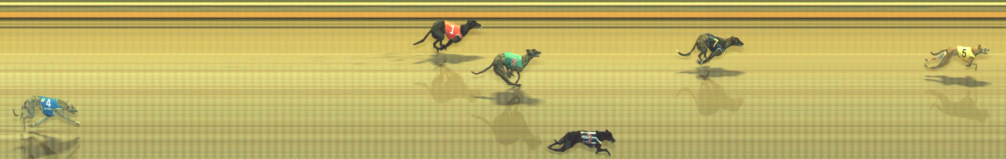 Photo finish for Geelong Race 9