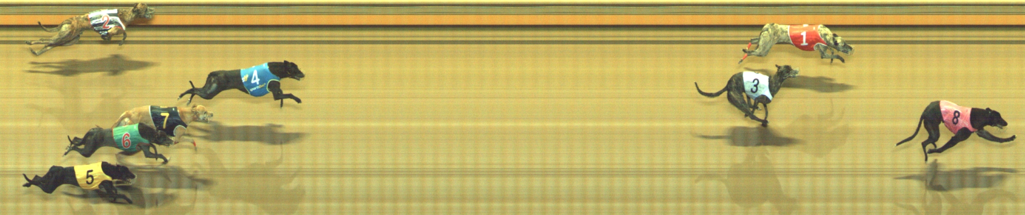Photo finish for Geelong Race 10