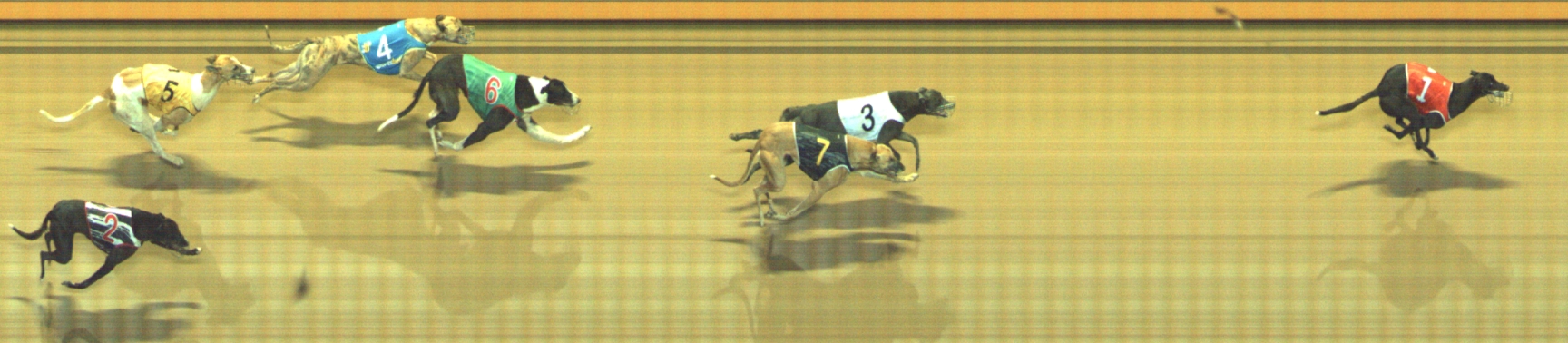 Photo finish for Geelong Race 11