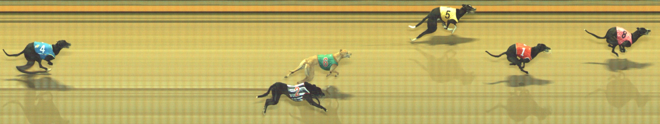 Photo finish for Geelong Race 12