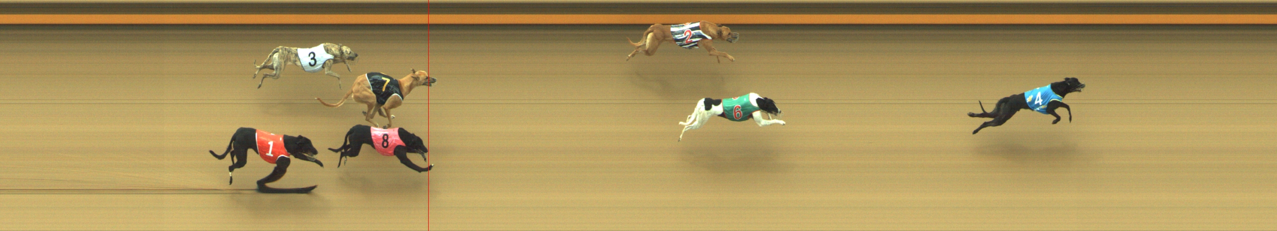 Photo finish for Geelong Race 1