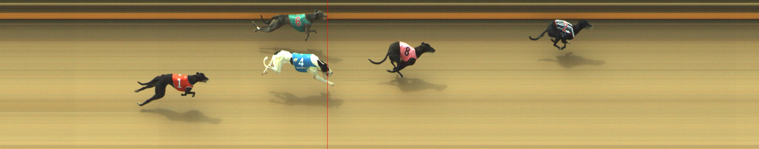 Photo finish for Geelong Race 2