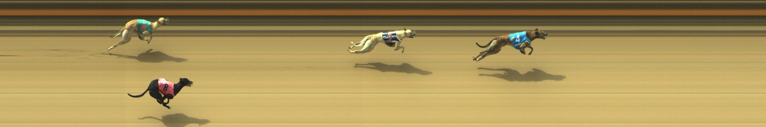 Photo finish for Geelong Race 3