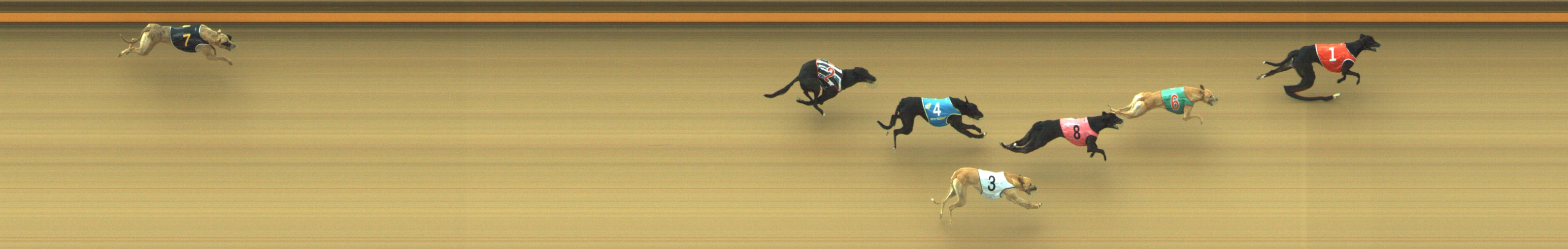 Photo finish for Geelong Race 6