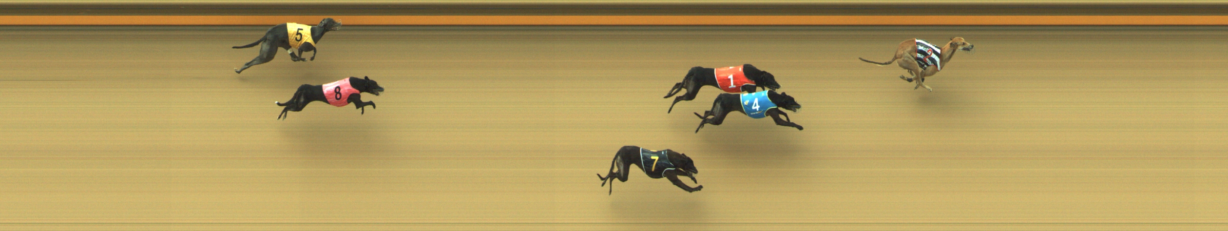 Photo finish for Geelong Race 7