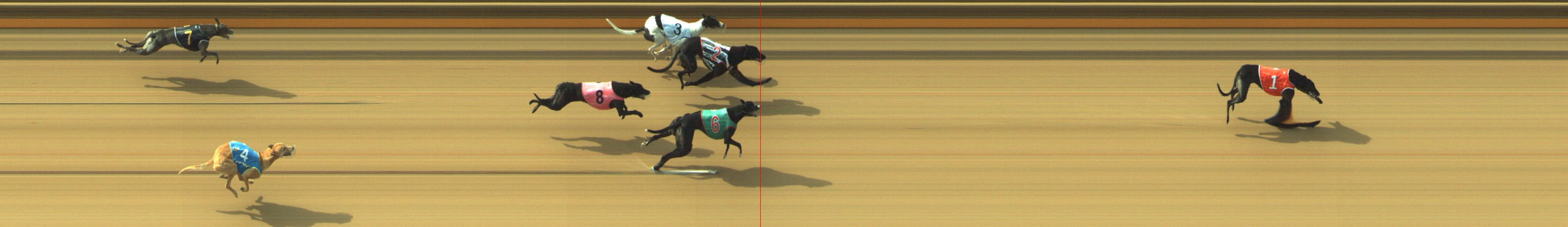 Photo finish for Geelong Race 8