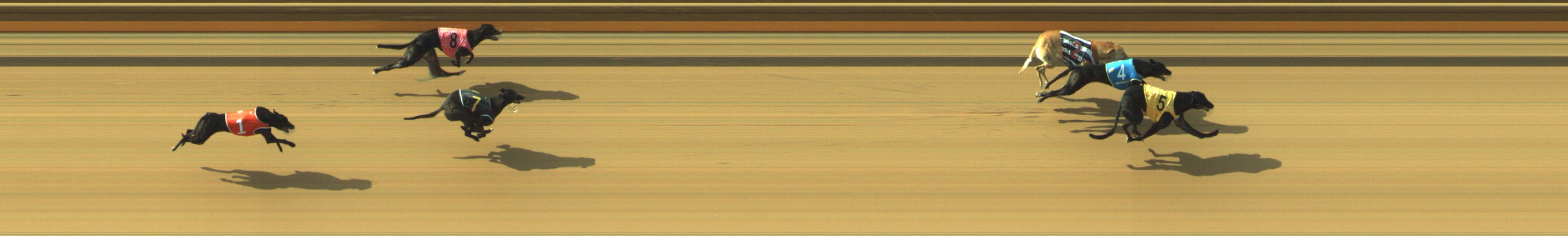 Photo finish for Geelong Race 9