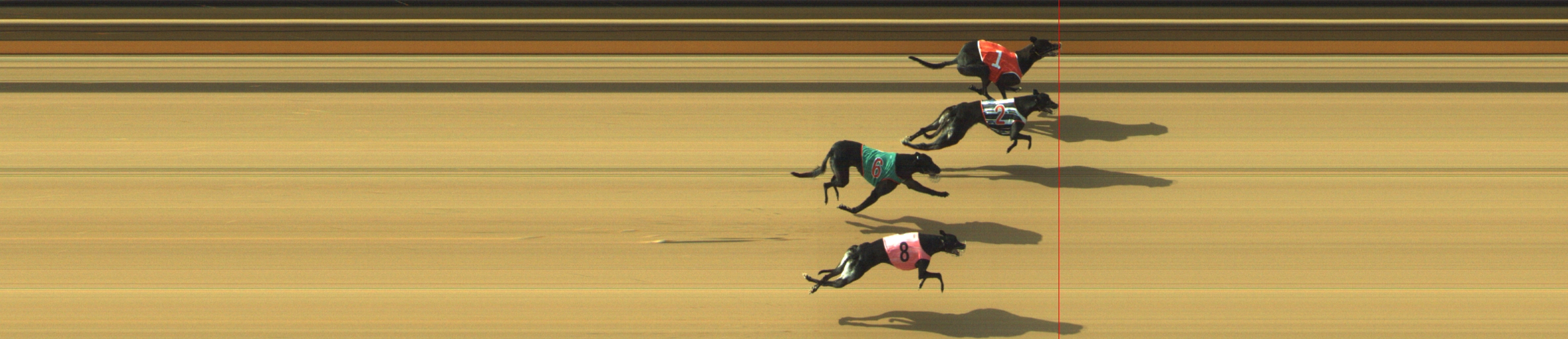 Photo finish for Geelong Race 10