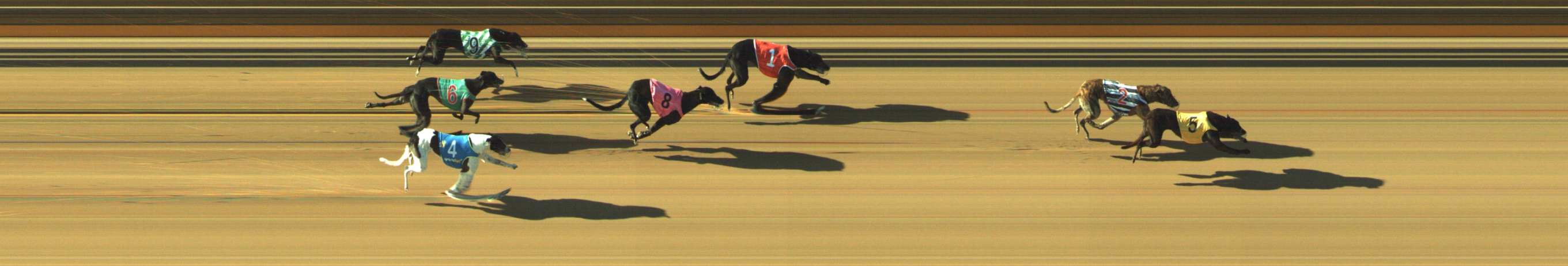 Photo finish for Geelong Race 1