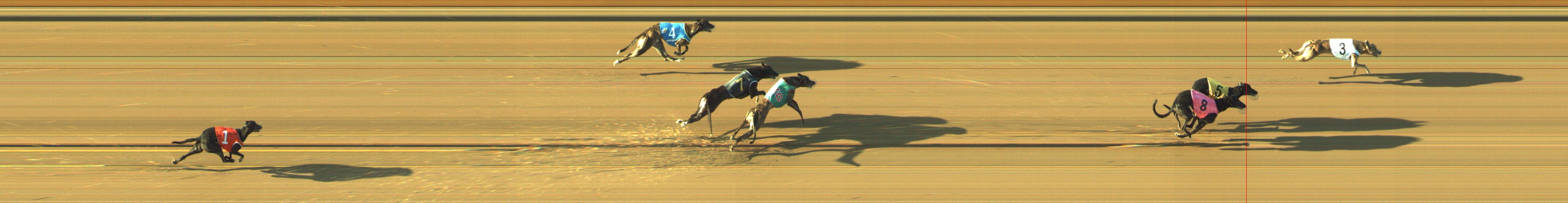 Photo finish for Geelong Race 3