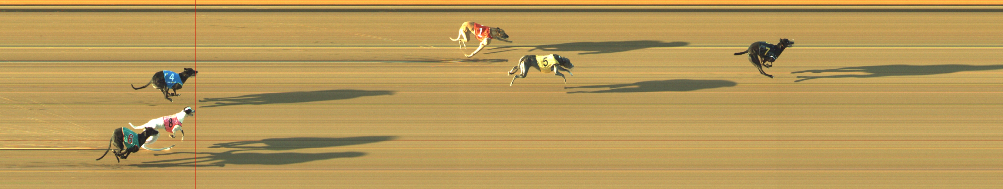Photo finish for Geelong Race 4