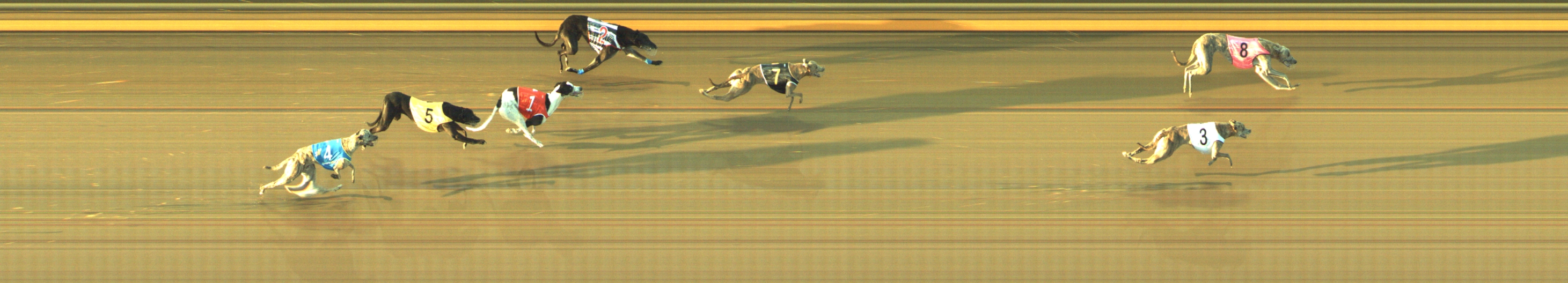 Photo finish for Geelong Race 5