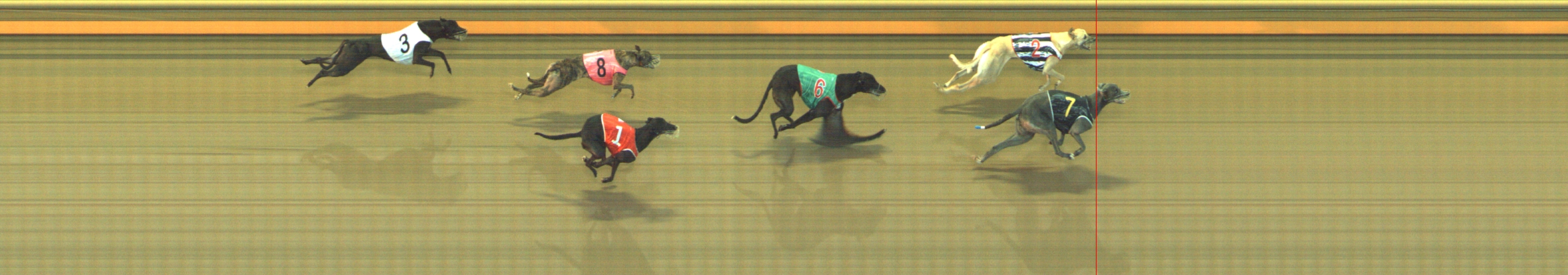 Photo finish for Geelong Race 6