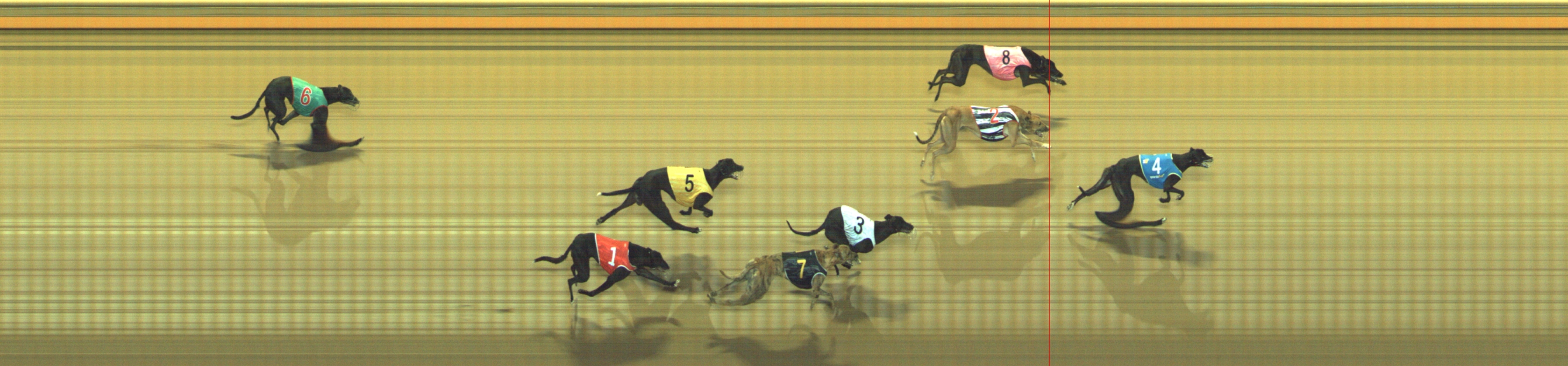 Photo finish for Geelong Race 7