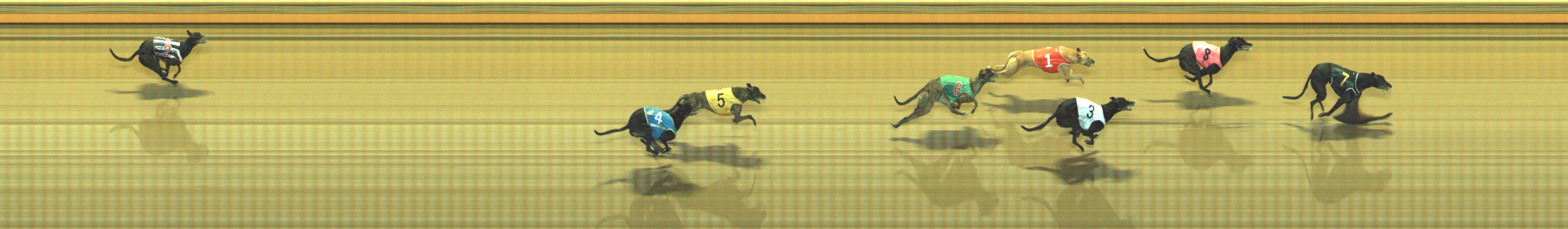 Photo finish for Geelong Race 8