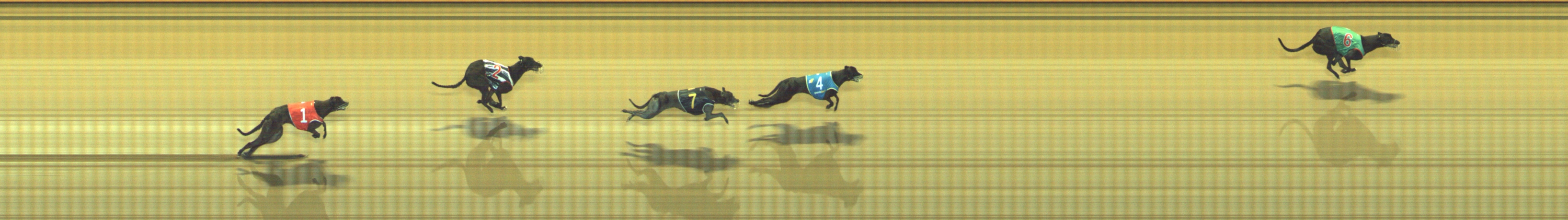 Photo finish for Geelong Race 9