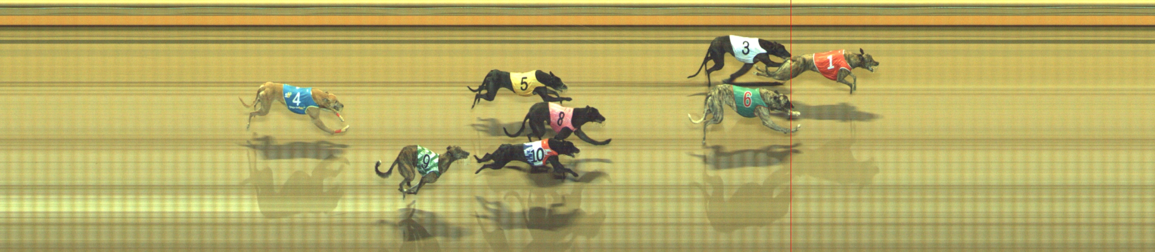 Photo finish for Geelong Race 10