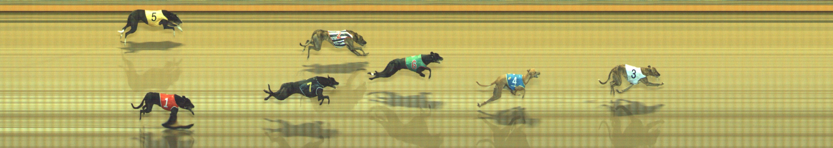 Photo finish for Geelong Race 11