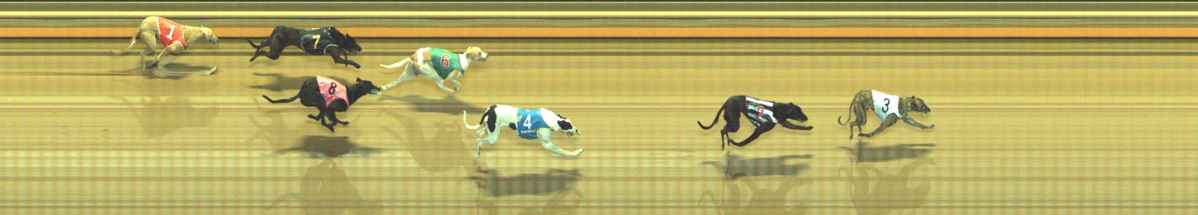 Photo finish for Geelong Race 12