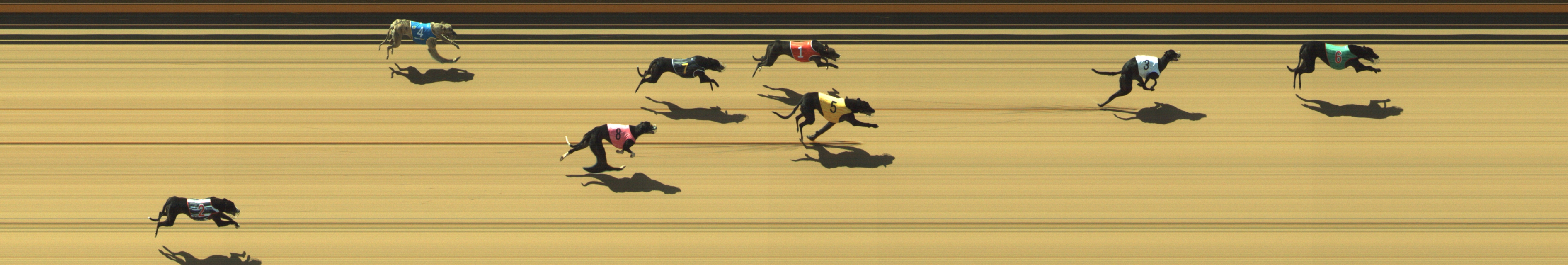 Photo finish for Geelong Race 1