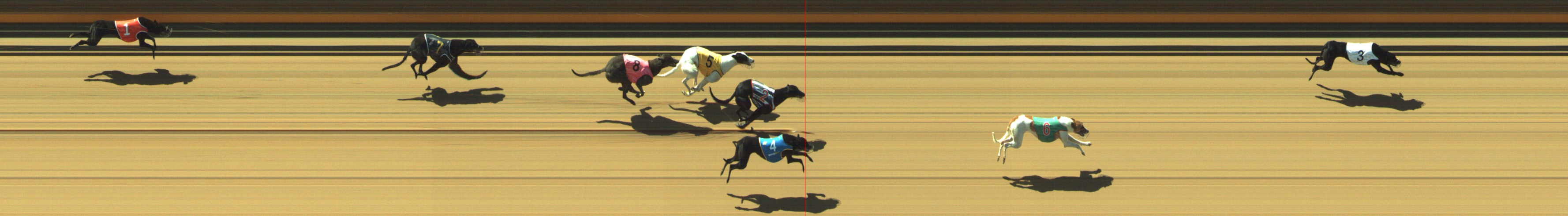Photo finish for Geelong Race 2