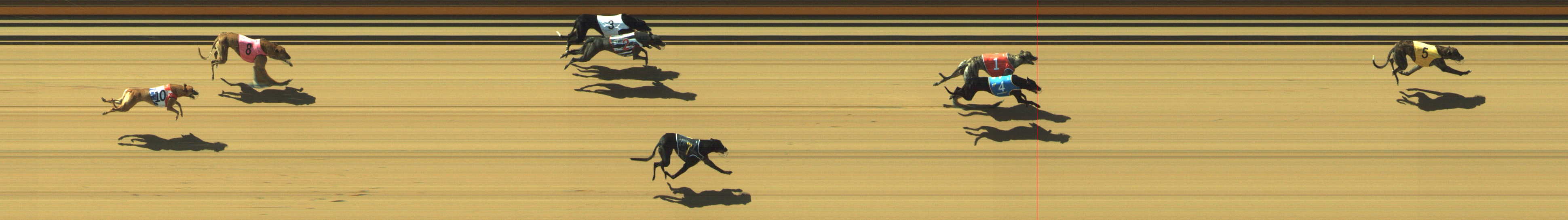 Photo finish for Geelong Race 3