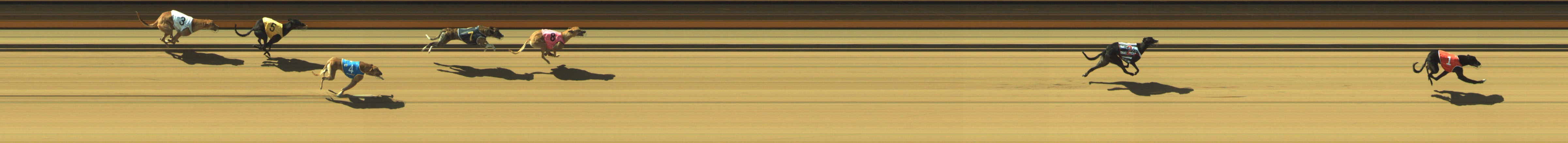 Photo finish for Geelong Race 4