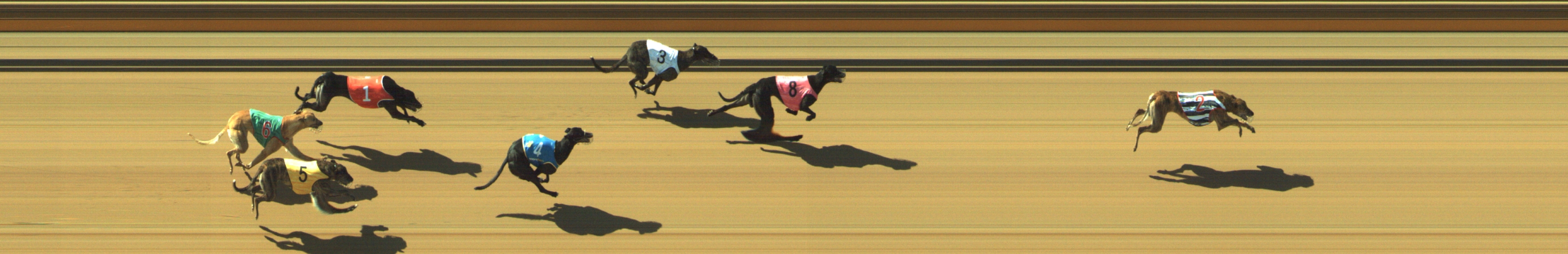 Photo finish for Geelong Race 5